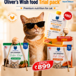 Oliver's Wish Food Trial Pack (2 Cat Dry Food + 1 Wet Mousse Sample Free)