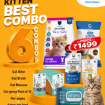 Kitten Best Combo (Litter + Dry Food + Broth + Mousse + Wet Gravy + Pet Wipes)