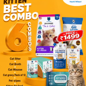 Kitten Best Combo (Litter + Dry Food + Broth + Mousse + Wet Gravy + Pet Wipes)