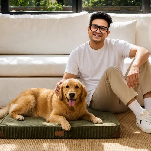 sir img with doggo (1)